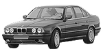 BMW E34 P1808 Fault Code